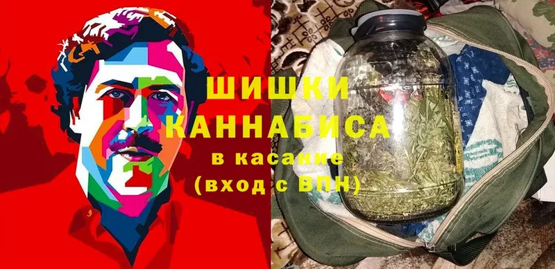 Бошки марихуана Bruce Banner  где продают наркотики  Дегтярск 